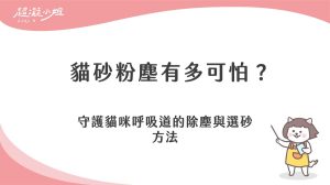 貓砂粉塵有多可怕？守護貓咪呼吸道的除塵與選砂方法