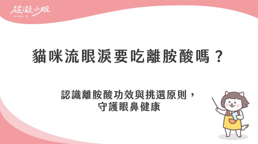 貓咪流眼淚要吃離胺酸嗎?解析功效與日常營養挑選原則