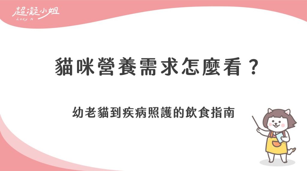 貓咪營養需求怎麼看？幼老貓到疾病照護的飲食指南