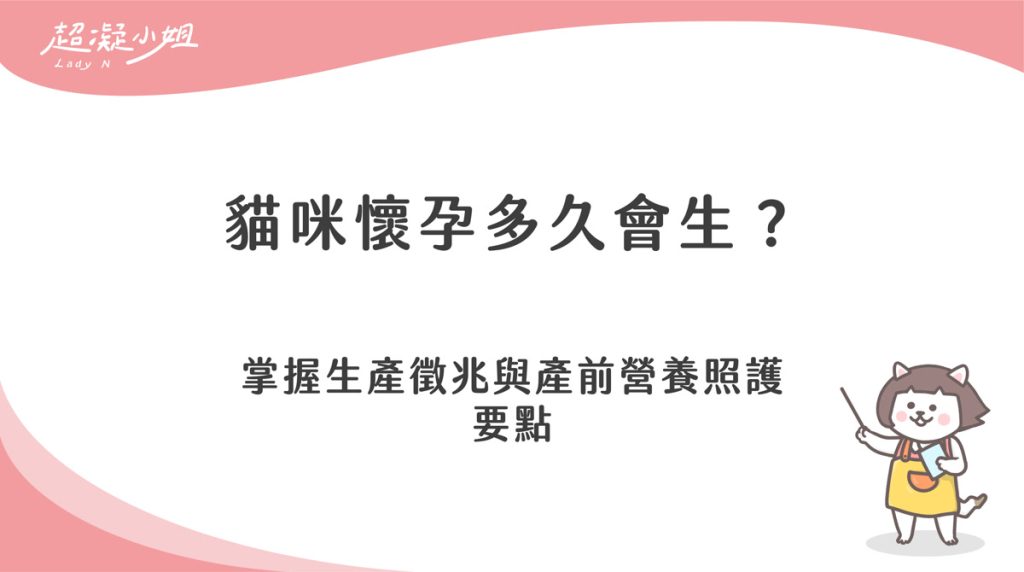 貓咪懷孕多久會生？觀察徵兆與產前照顧注意事項