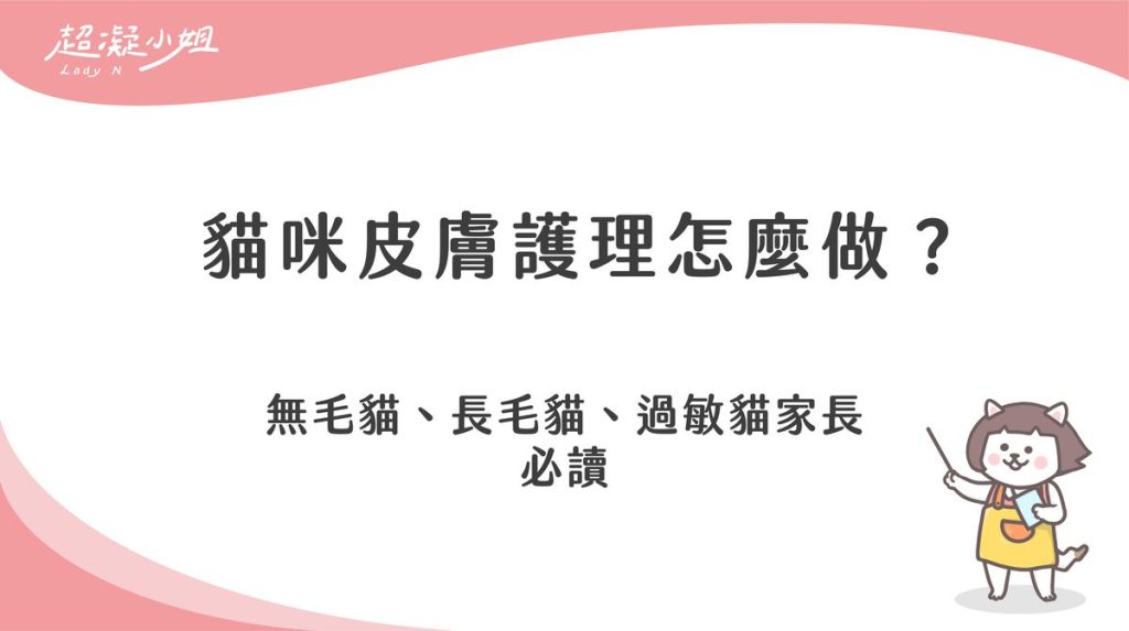 貓咪皮膚護理怎麼做?無毛貓、長毛貓、過敏貓家長必讀