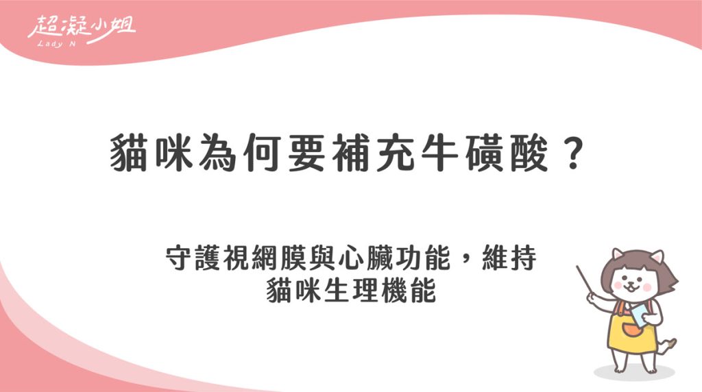 貓咪為什麼要補充牛磺酸?維持視力與心臟健康的關鍵