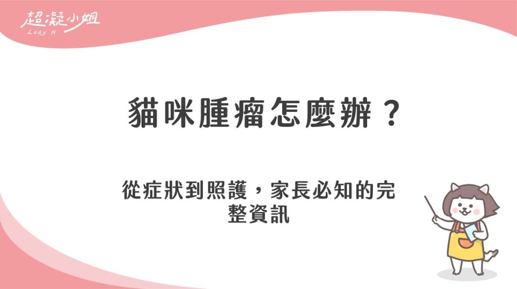 貓咪腫瘤怎麼辦?從症狀到照護,家長必知的完整資訊