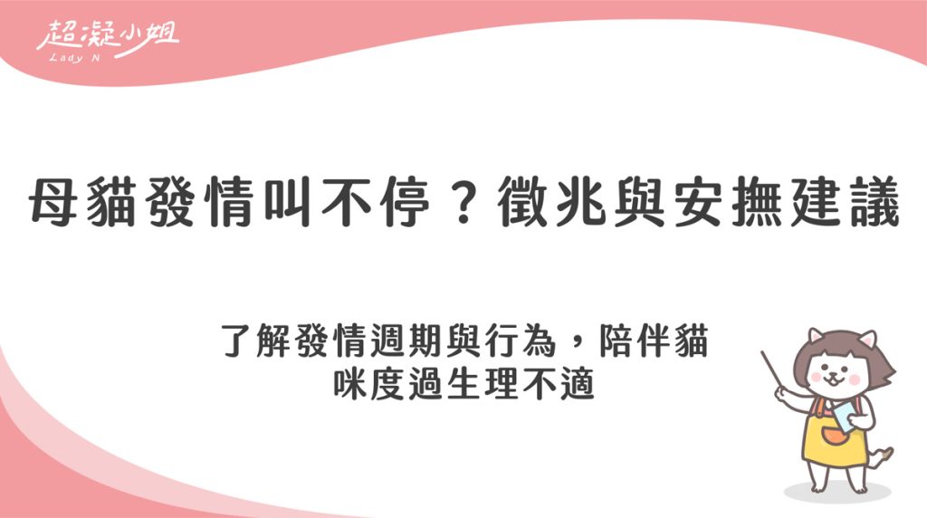 母貓發情怎麼辦?發情時間多久、徵兆有哪些與安撫建議
