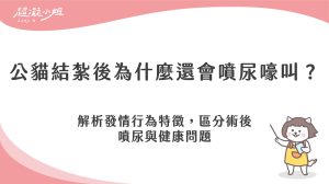 公貓發情症狀有哪些？結紮後為什麼還會噴尿或嚎叫？