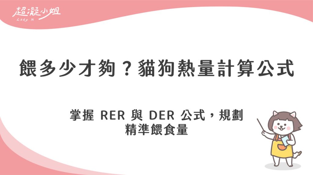 貓狗熱量計算怎麼做?用 RER 與 DER 公式算出精準餵食量