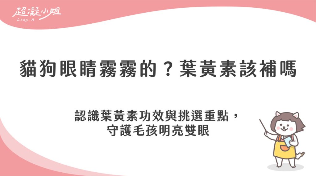 貓狗需要補充葉黃素嗎？認識葉黃素功效與挑選營養品重點