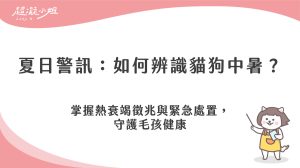 如何辨識寵物中暑？貓狗熱衰竭徵兆與緊急處置步驟