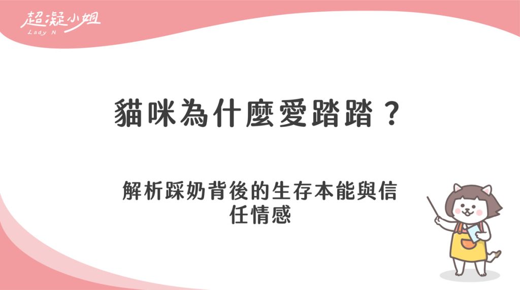 貓咪為什麼會踏踏?從幼貓本能看成貓踩奶的意思