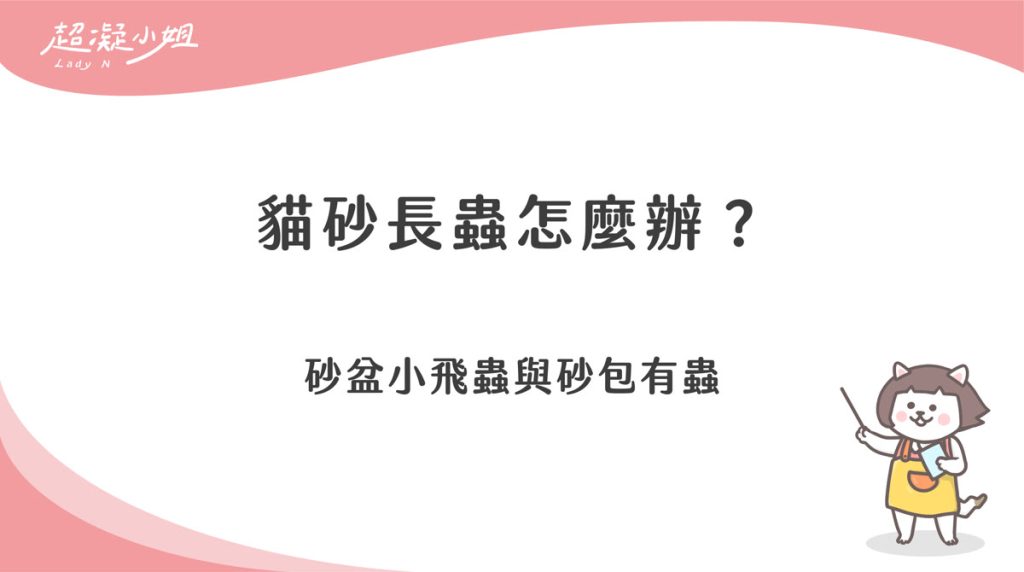 貓砂長蟲怎麼辦?砂盆小飛蟲與砂包有蟲的分辨和處理