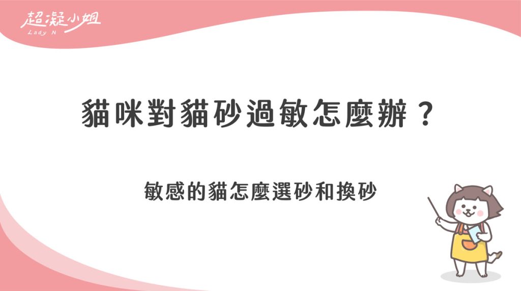 貓咪對貓砂過敏怎麼辦？敏感的貓怎麼選砂和換砂