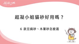 超凝小姐貓砂好用嗎？豆腐砂、木薯砂、混合砂 6 款怎麼選