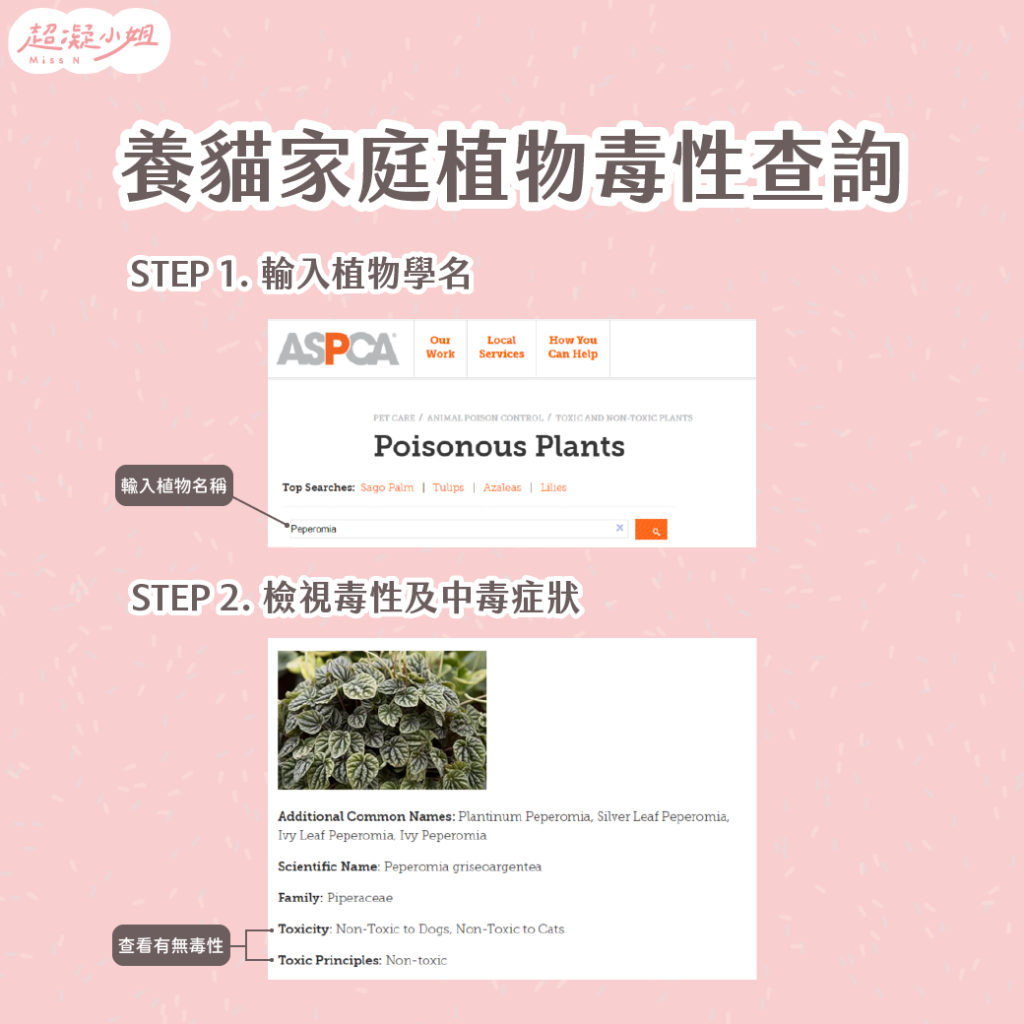 ASPCA植物毒性查詢