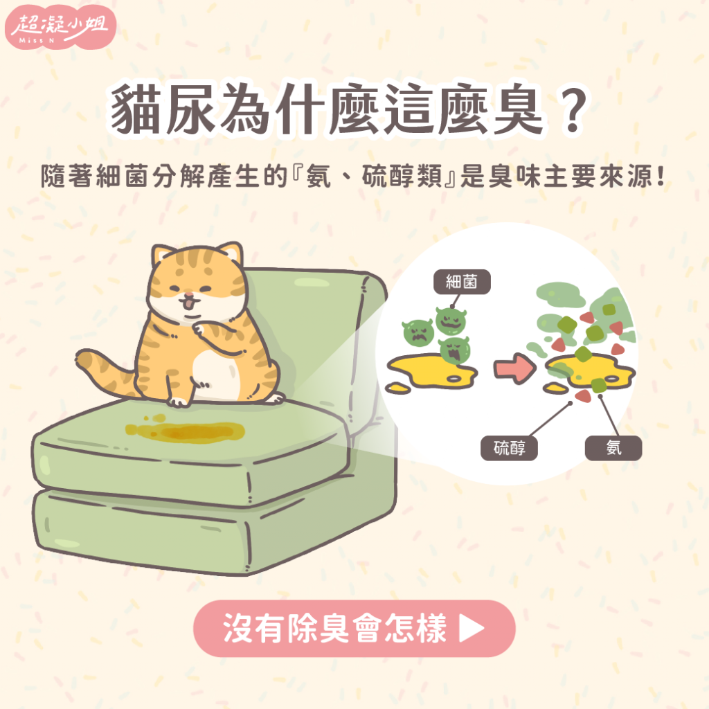 貓咪尿床臭味主要來源