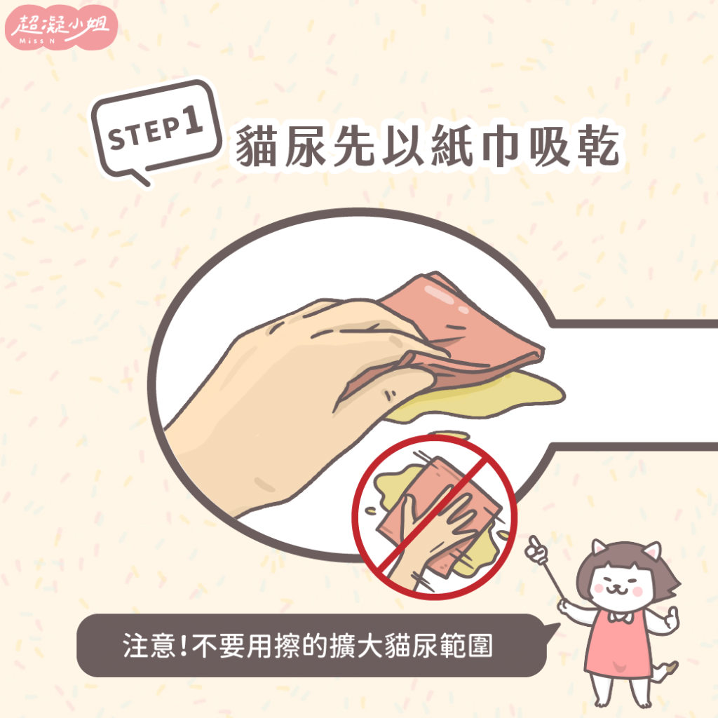 貓咪尿床清潔步驟一、將尿液吸乾