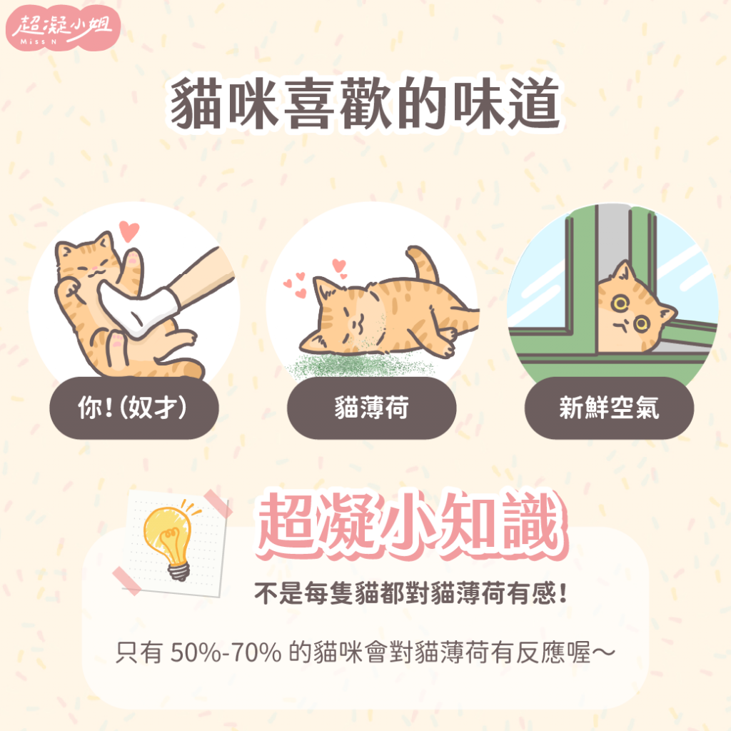 貓咪鼻子 貓嗅覺 貓喜歡的味道 貓討厭的味道