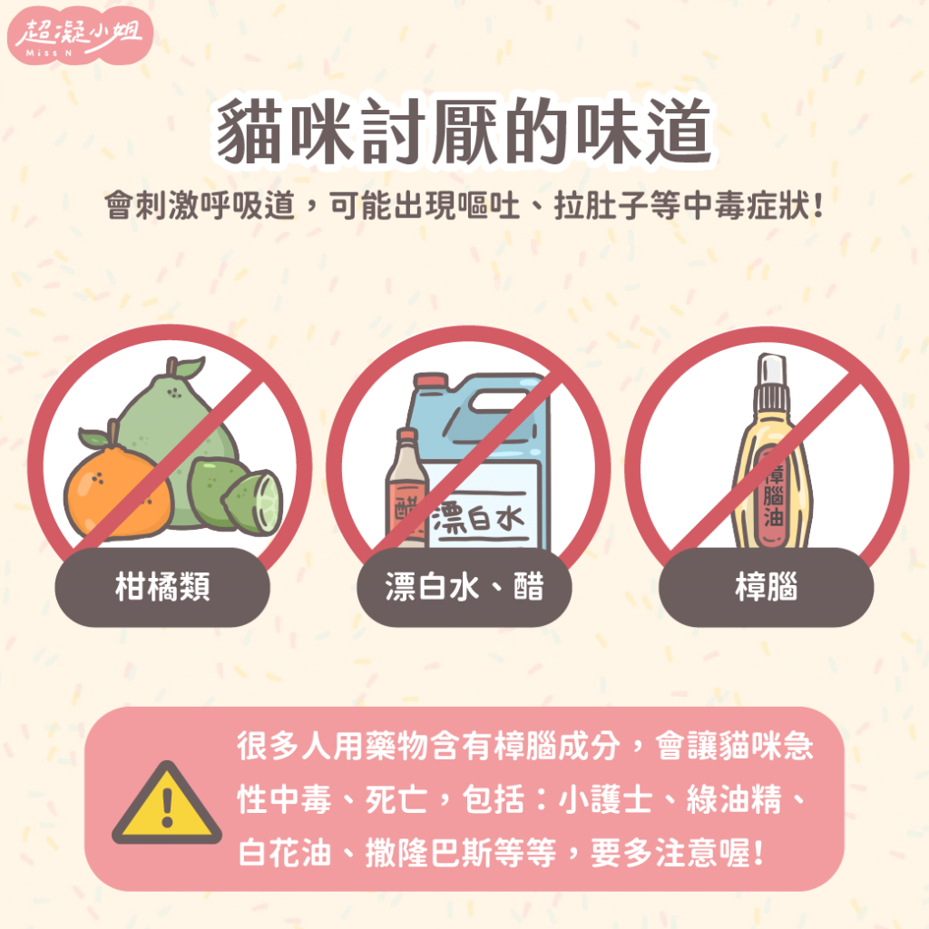 貓咪鼻子 貓嗅覺 貓喜歡的味道 貓討厭的味道