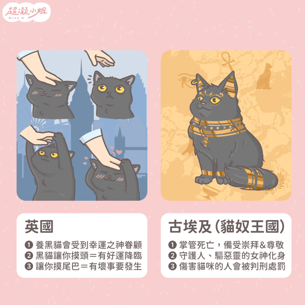 黑貓 黑色貓咪 黑貓傳說 黑貓禁忌 黑貓個性 黑貓虎斑