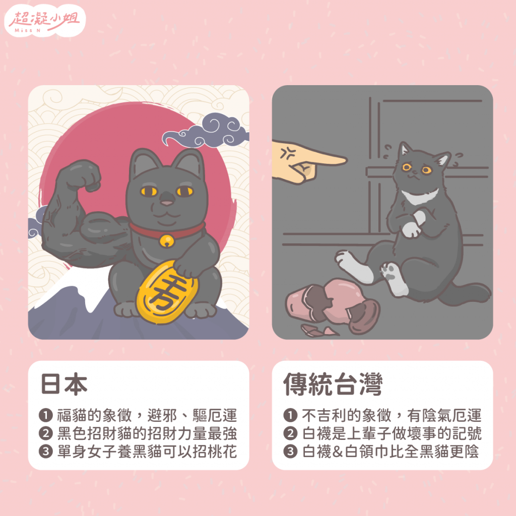 黑貓 黑色貓咪 黑貓傳說 黑貓禁忌 黑貓個性 黑貓虎斑