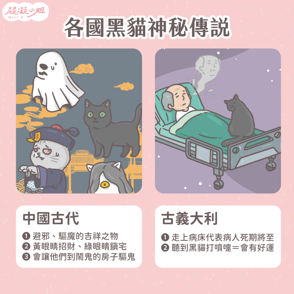 黑貓 黑色貓咪 黑貓傳說 黑貓禁忌 黑貓個性 黑貓虎斑