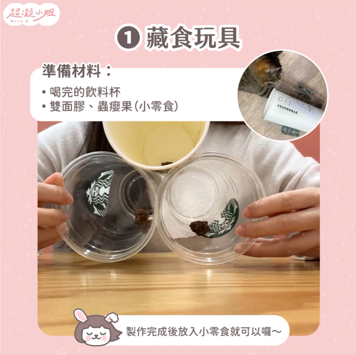 貓咪玩具 自製貓咪玩具 貓玩具 DIY貓咪玩具 DIY貓玩具
