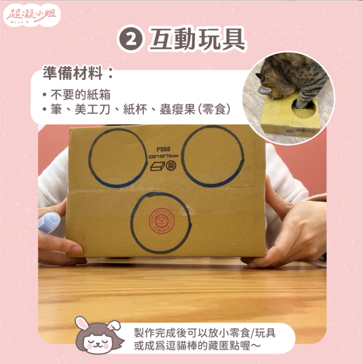 貓咪玩具 自製貓咪玩具 貓玩具 DIY貓咪玩具 DIY貓玩具