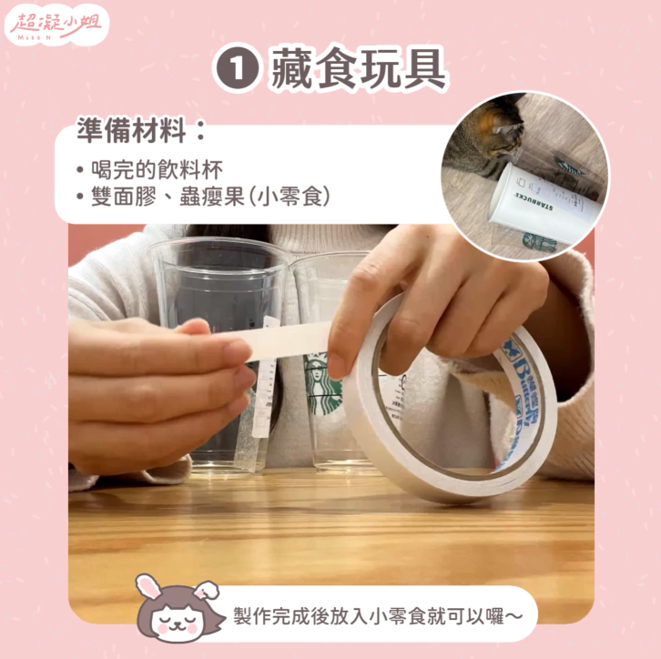 貓咪玩具 自製貓咪玩具 貓玩具 DIY貓咪玩具 DIY貓玩具