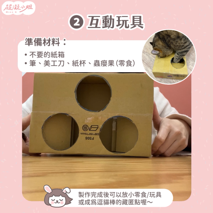 貓咪玩具 自製貓咪玩具 貓玩具 DIY貓咪玩具 DIY貓玩具