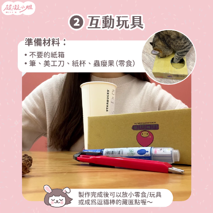 貓咪玩具 自製貓咪玩具 貓玩具 DIY貓咪玩具 DIY貓玩具