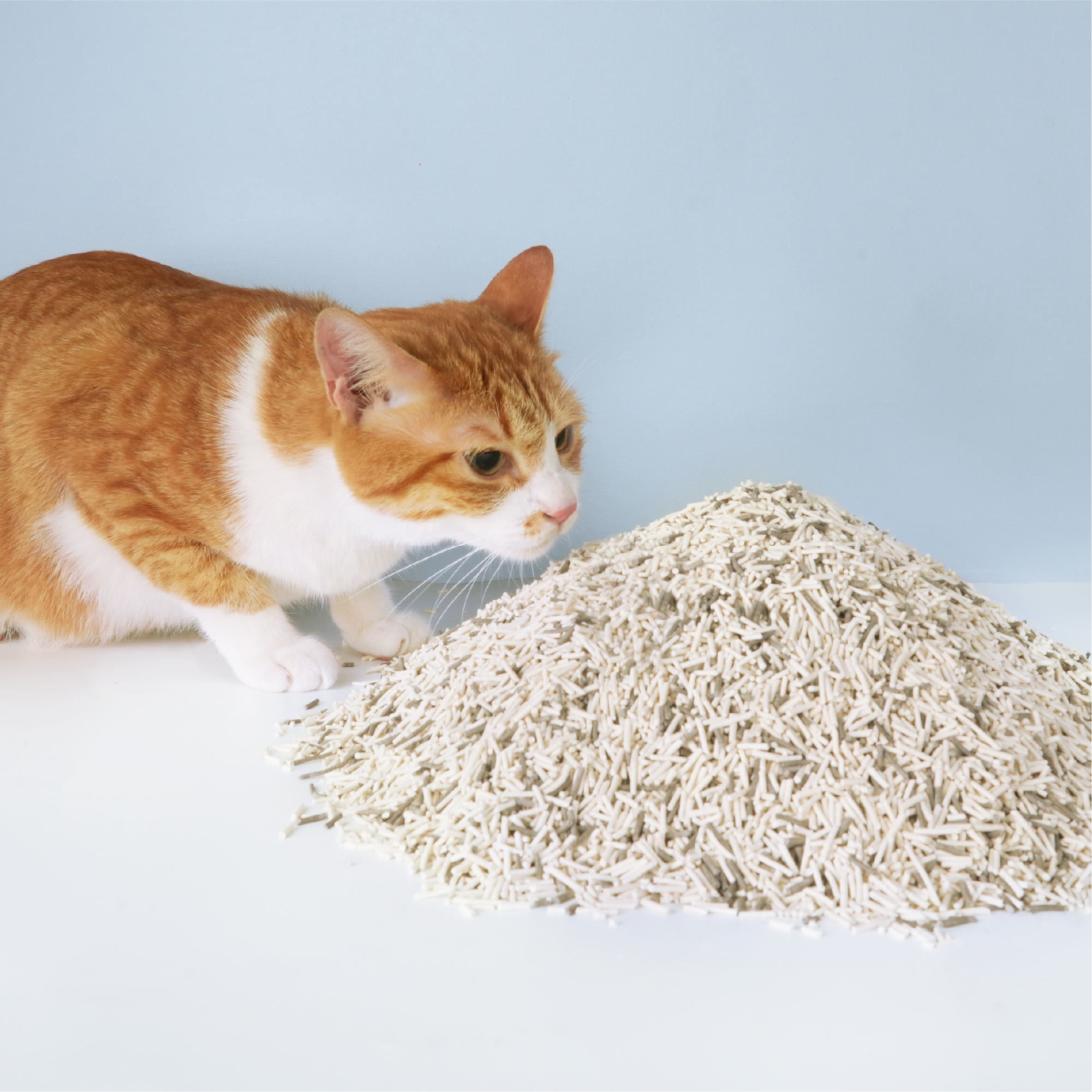 Eco-friendly Cat Litter Lady N