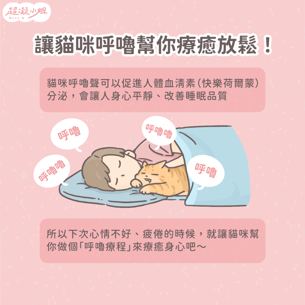 貓咪呼嚕 貓咪呼嚕聲 貓呼嚕意思