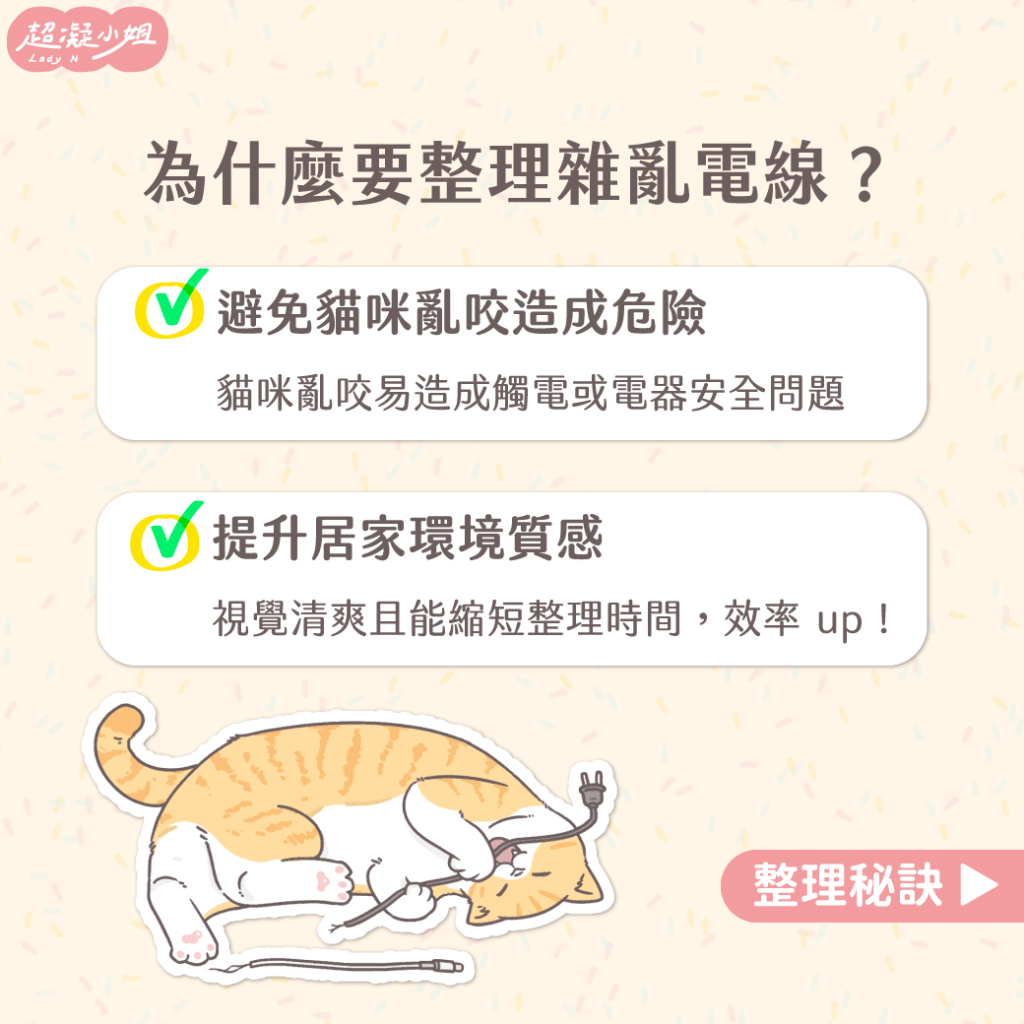 貓咬電線 貓咪咬電線 貓愛咬電線 貓咪愛咬電線 貓咬電線怎麼辦