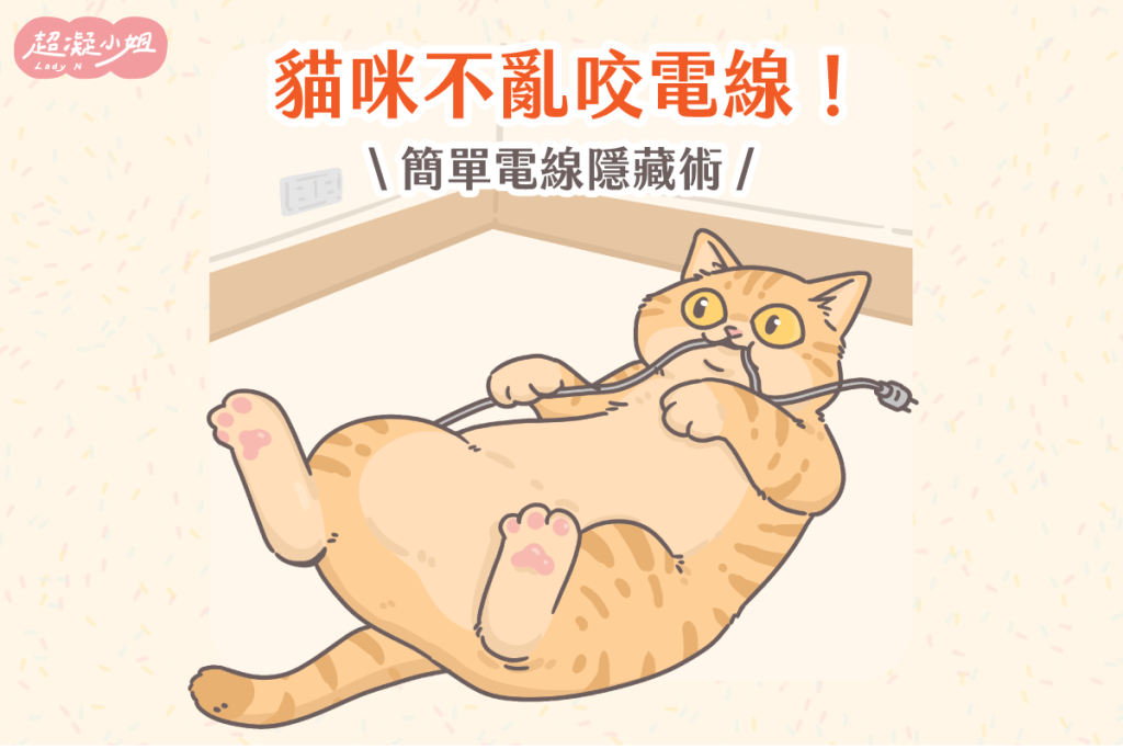 貓咬電線 貓咪咬電線 貓愛咬電線 貓咪愛咬電線 貓咬電線怎麼辦