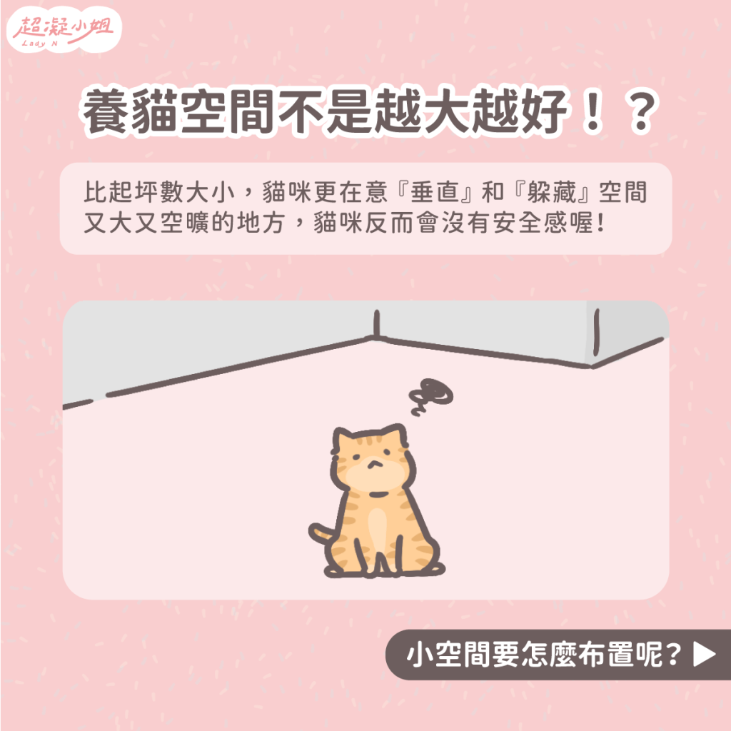 養貓空間 小空間養貓 養貓佈置