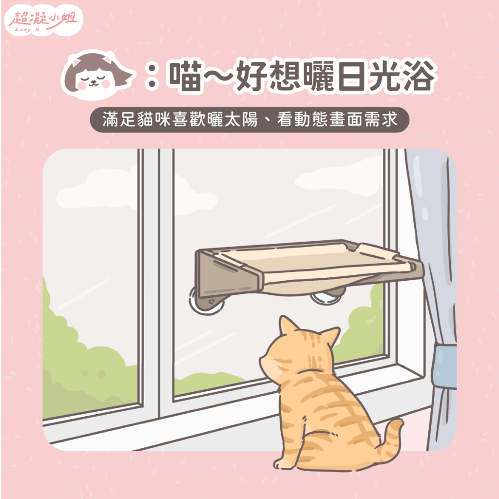 養貓空間 小空間養貓 養貓佈置