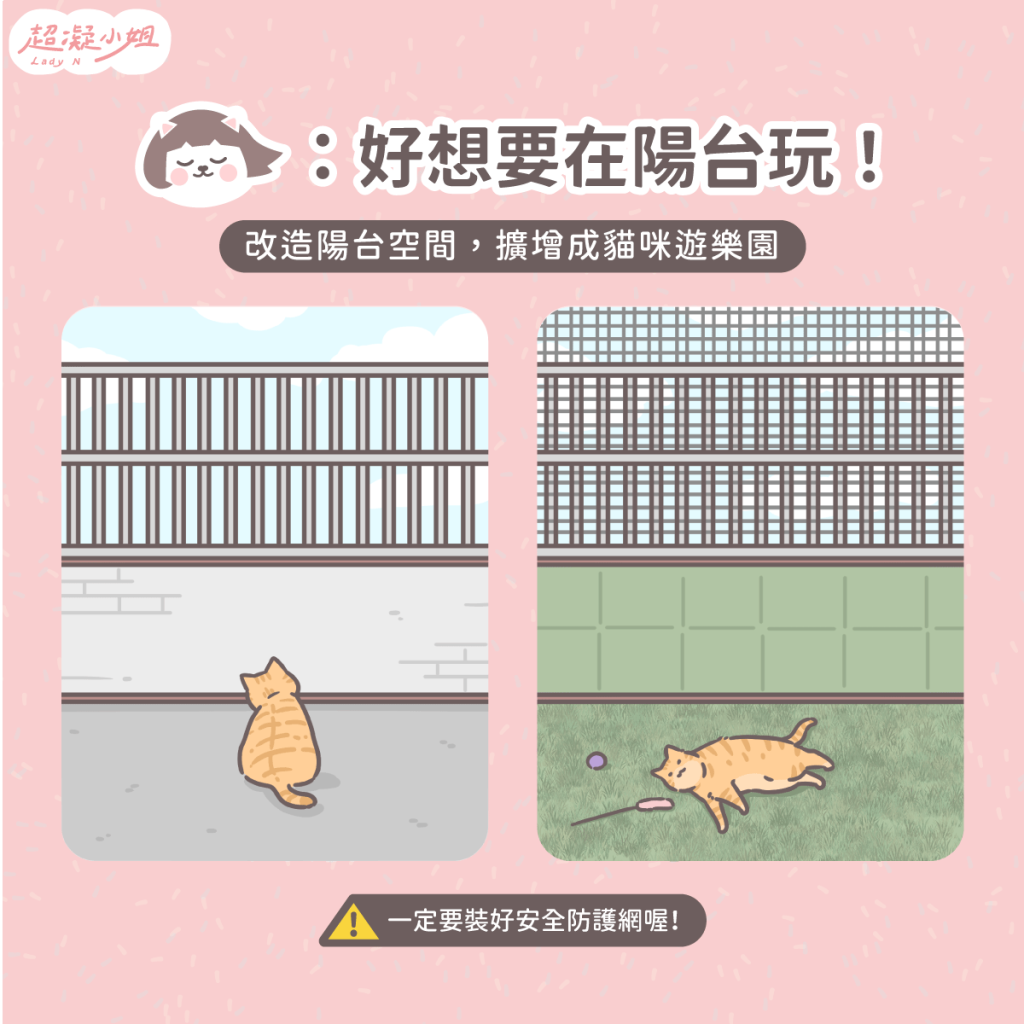 養貓空間 小空間養貓 養貓佈置