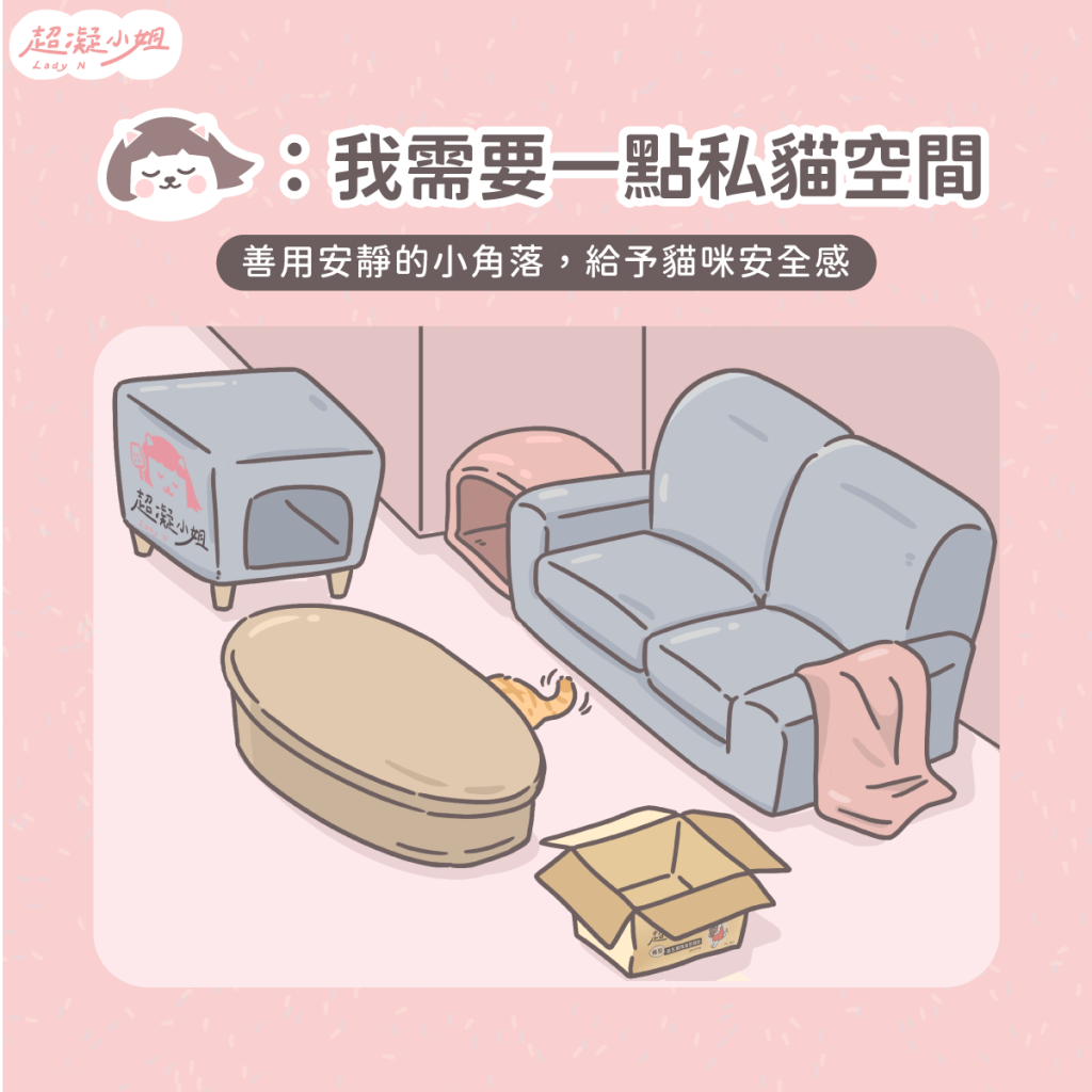 養貓空間 小空間養貓 養貓佈置
