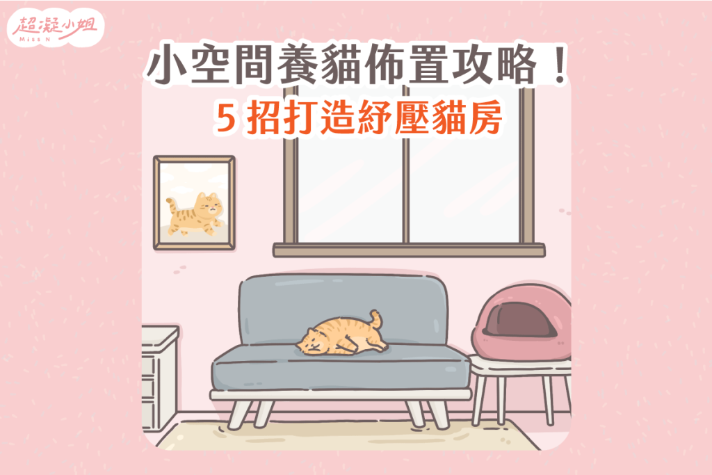 養貓空間 小空間養貓 養貓佈置