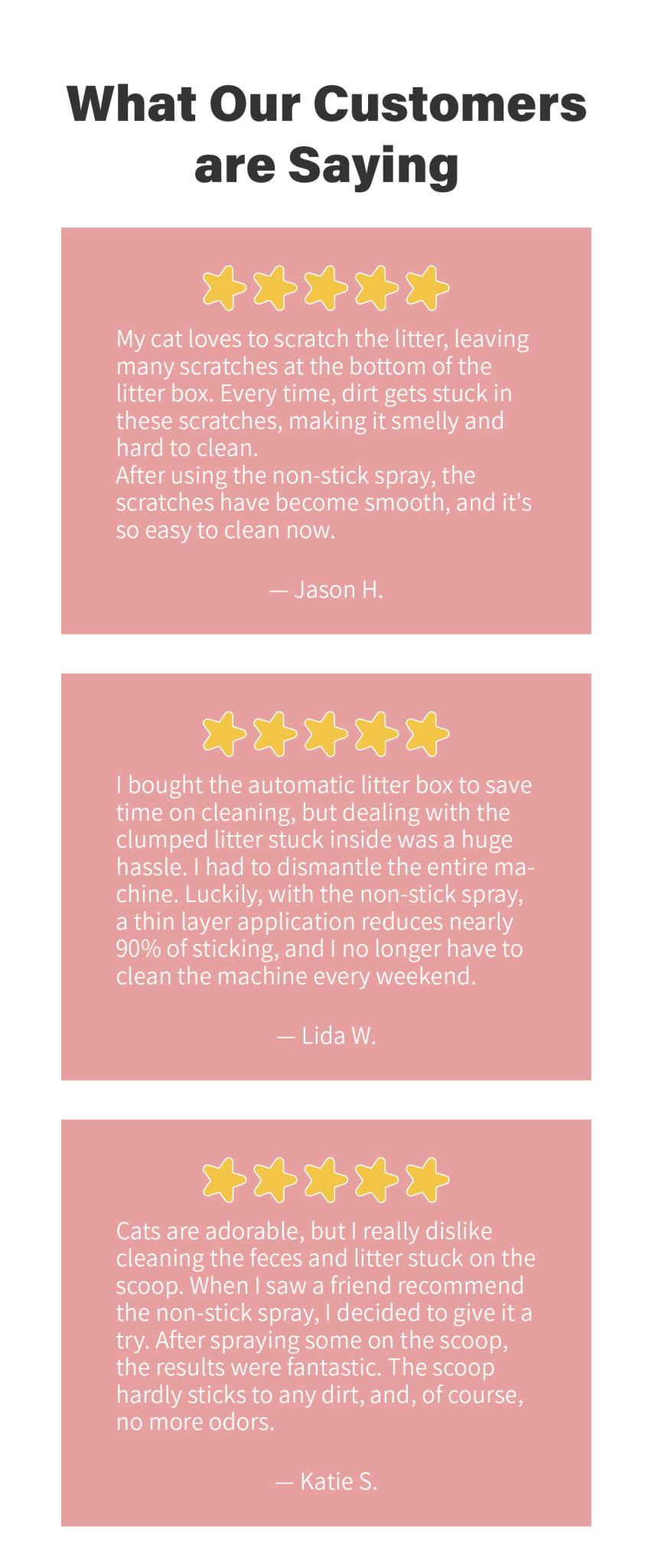 Lady N－NonStick Cat Litter Box Spray Lady N US