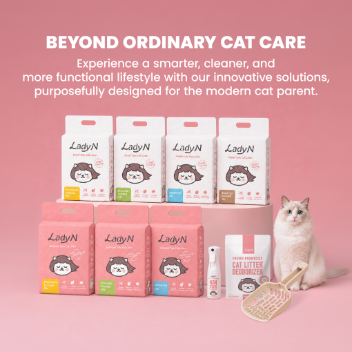 Lady N－Non-Stick Cat Litter Box Spray - Lady N US