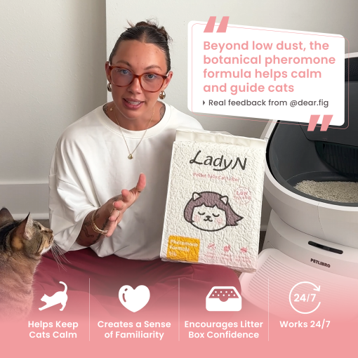 60 Days Starter kit + Free gift for first member order - Lady N US