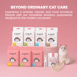 Beyond Ordinary Cat Care