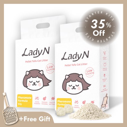 60 Days Starter kit + Free gift for first member order - Lady N US