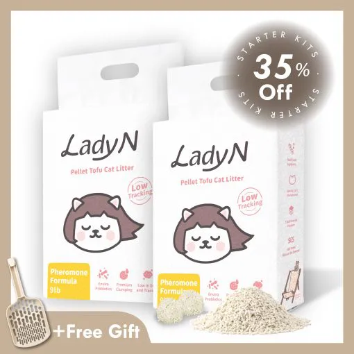 60 Days Starter kit + Free gift for first member order - Lady N US