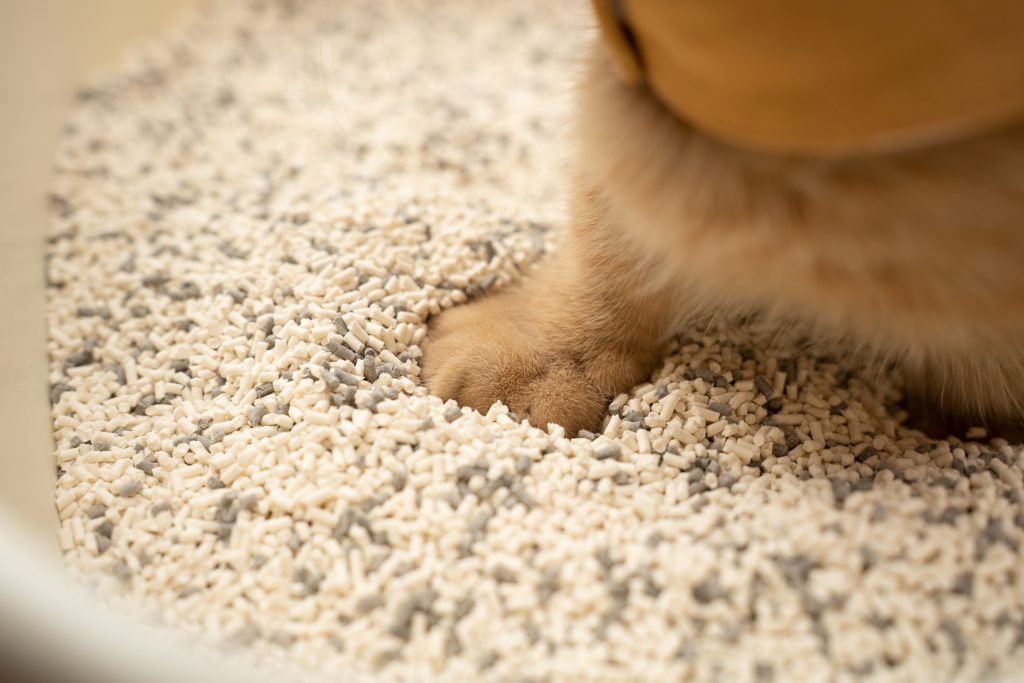 Tofu Cat Litter