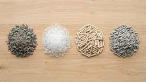 Comparing Cat Litter Types for Your Home