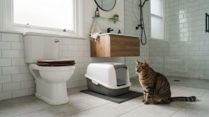 Is Flushable Cat Litter Actually Safe?